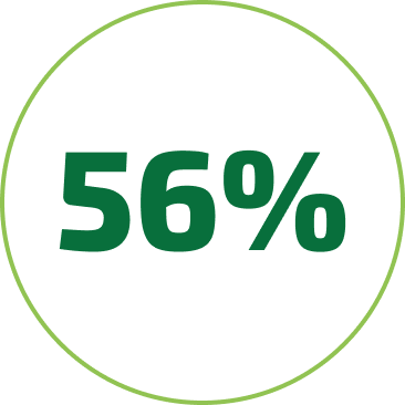 56%